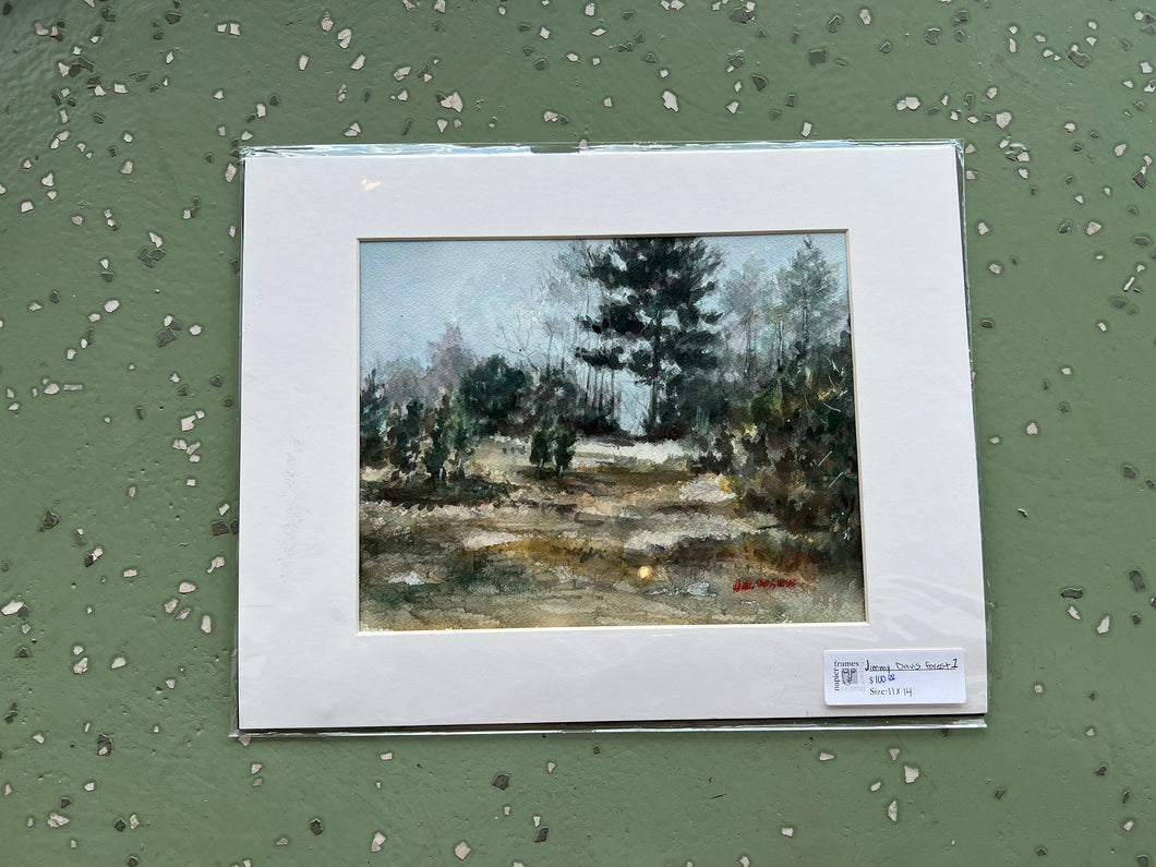 Forest 1